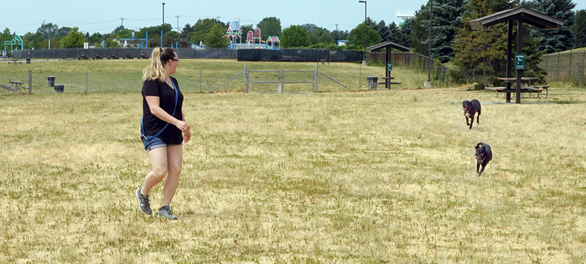 red oaks dog park