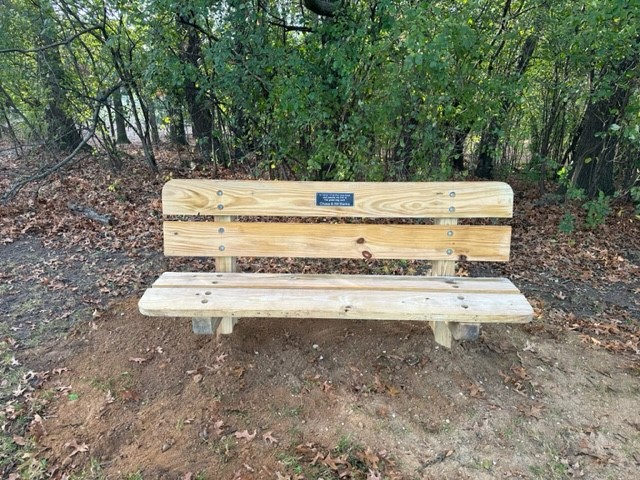 bench